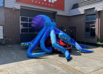 Blue Octopus 8m