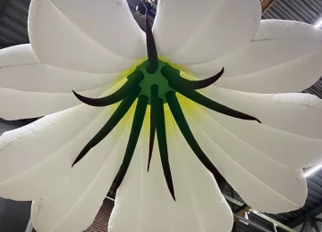 Lily Flower 3m